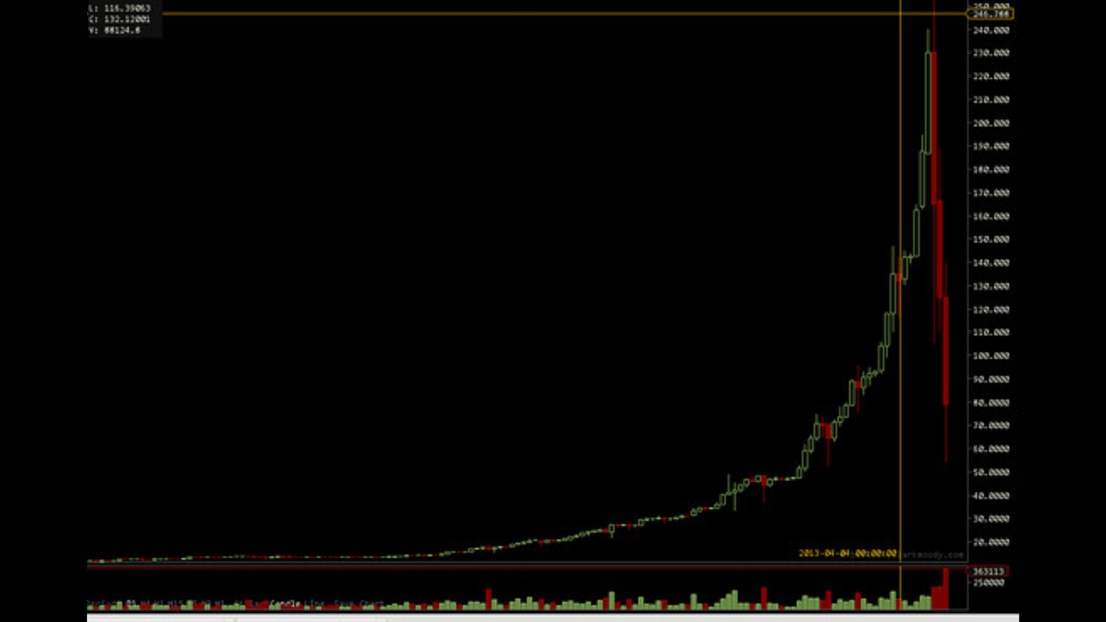 A photo of the Bitcoin event: "The great crash" of Bitcoin's price in 2013