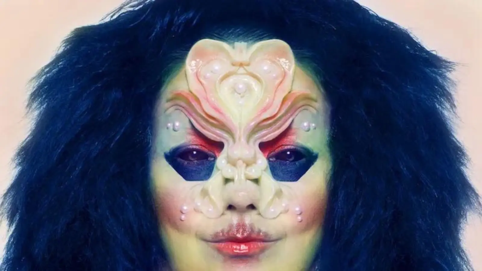 A photo of the Bitcoin event: Bjork accepts Bitcoin for "Utopia" album sale