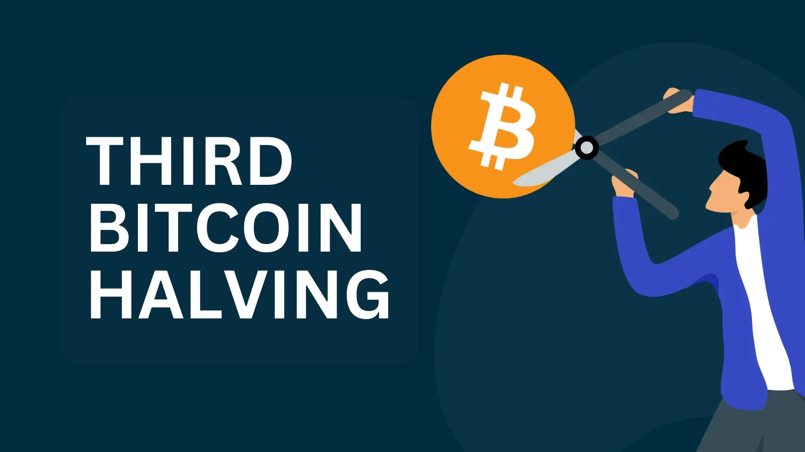 A photo of the Bitcoin event: The third bitcoin halving: reducing the block reward from 12.5 BTC to 6.25 BTC